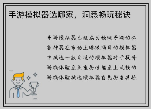 手游模拟器选哪家，洞悉畅玩秘诀